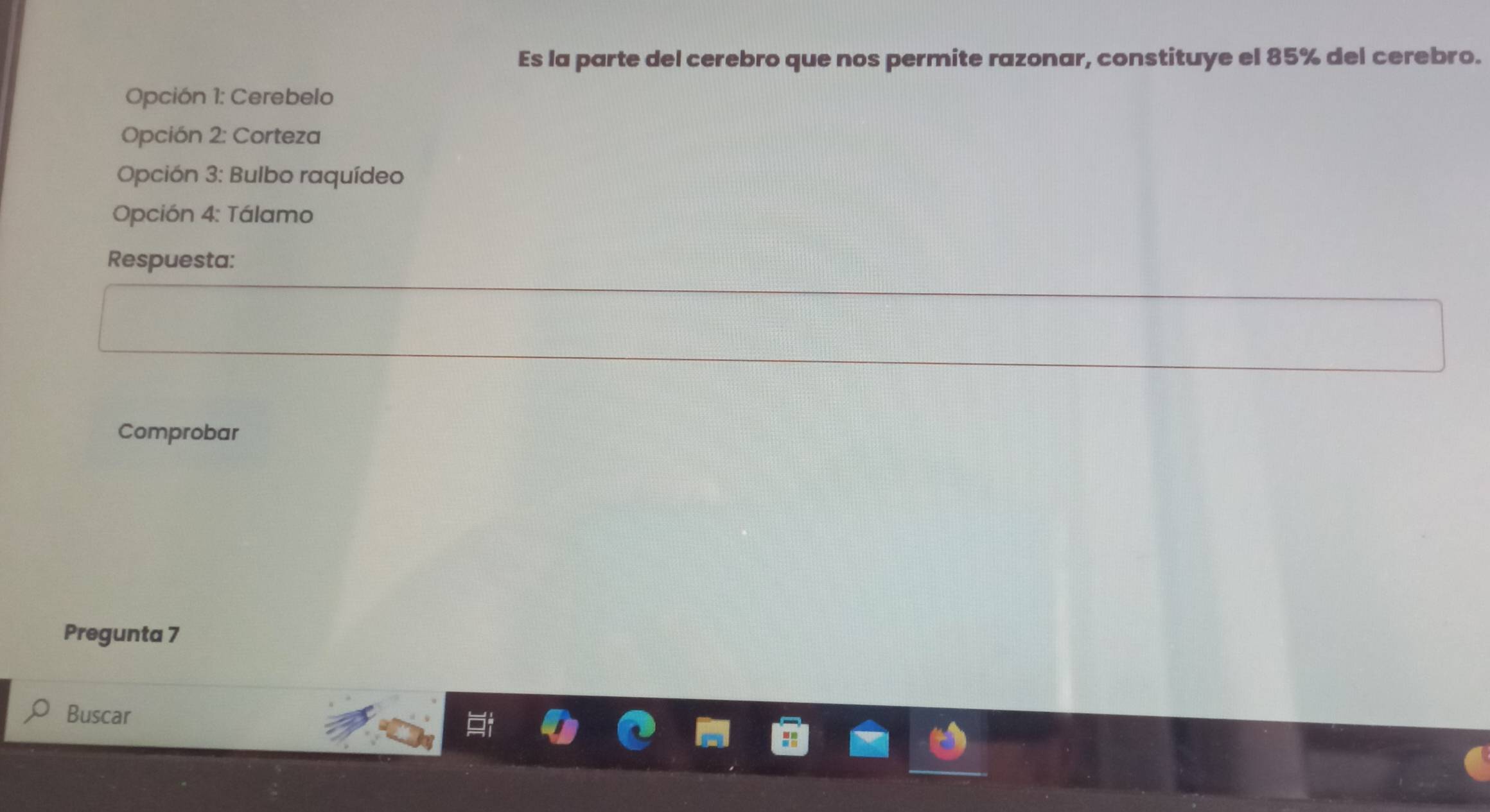 Es la parte del cerebro que nos permite razonar, constituye el 85% del cerebro.
Opción 1: Cerebelo
Opción 2: Corteza
Opción 3: Bulbo raquídeo
Opción 4: Tálamo
Respuesta:
Comprobar
Pregunta 7
Buscar