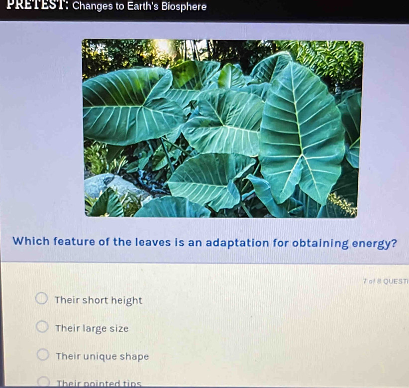 PRETEST: Changes to Earth's Biosphere
Which feature of the leaves is an adaptation for obtaining energy?
7 of 8 QUESTI
Their short height
Their large size
Their unique shape
Their pointed tips