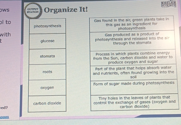 KESLER 
ows STATION 3 Organize It! SCIENCE 
OUtpUt 
ɔl to 

with 
7 



ved? 
oom