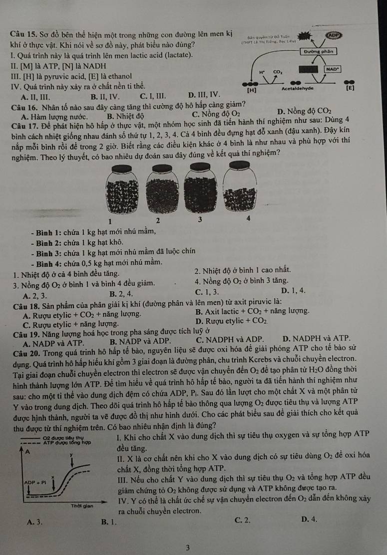 Sơ đồ bên thể hiện một trong những con đường lên men k
khí ở thực vật. Khi nói về sơ đồ này, phát biểu nào đúng? 
I. Quá trình này là quá trình lên men lactic acid (lactate).
II. [M] là ATP, [N] là NADH
III. [H] là pyruvic acid, [E] là ethanol
IV. Quá trình này xảy ra ở chất nền ti thể.
A. II, III. B. II, IV. C. I, III. D. III, IV.
Câu 16. Nhân tố nào sau đây càng tăng thì cường độ hô hấp càng giảm?
A. Hàm lượng nước. B. Nhiệt độ C. Nồng dhat QO_2 D. Nồng dhat QCO_2
Câu 17. Để phát hiện hô hấp ở thực vật, một nhóm học sinh đã tiến hành thí nghiệm như sau: Dùng 4
bình cách nhiệt giống nhau đánh số thứ tự 1, 2, 3, 4. Cả 4 bình đều đựng hạt đỗ xanh (đậu xanh). Đậy kín
mắp mỗi bình rồi đề trong 2 giờ. Biết rằng các điều kiện khác ở 4 bình là như nhau và phù hợp với thí
nghiệm. Theo lý thuyết, có bao nhiêu dự đoán sau đây đúng về kết quả thí nghiệm?
2 3 
- Bình 1: chứa 1 kg hạt mới nhú mầm,
- Bình 2: chứa 1 kg hạt khô.
- Bình 3: chứa 1 kg hạt mới nhú mầm đã luộc chín
- Bình 4: chứa 0,5 kg hạt mới nhú mầm.
1. Nhiệt độ ở cả 4 bình đều tăng.  2. Nhiệt độ ở bình 1 cao nhất.
3. Nồng độ O_2 ở bình 1 và bình 4 đều giảm. 4. Nồng độ O_2 ở bình 3 tăng.
A. 2, 3. B. 2, 4. C. 1, 3. D. 1, 4.
Câu 18. Sản phẩm của phân giải kị khí (đường phân và lên men) từ axit piruvic là:
A. Rượu etylic +CO_2+ năng lượng, B. Axit lactic +CO_2+ năng lượng.
C. Rượu etylic + năng lượng. D. Rượu etylic +CO_2
Câu 19. Năng lượng hoá học trong pha sáng được tích luỹ ở
A. NADP và ATP. B. NADP và ADP. C. NADPH và ADP. D. NADPH và ATP.
Câu 20. Trong quá trinh hô hấp tế bào, nguyên liệu sẽ được oxi hóa để giải phóng ATP cho tế bào sử
dụng. Quá trình hô hấp hiếu khí gồm 3 giai đoạn là đường phân, chu trình Kcrebs và chuỗi chuyền electron.
Tại giai đoạn chuỗi chuyền electron thì electron sẽ được vận chuyển đến O_2 để tạo phân tử H_2O 0 đồng thời
hình thành lượng lớn ATP. Đề tìm hiểu về quá trình hô hấp tế bào, người ta đã tiến hành thí nghiệm như
sau: cho một ti thể vào dung dịch đệm có chứa ADP, Pị. Sau đó lần lượt cho một chất X và một phân tử
Y vào trong dung dịch. Theo dõi quá trình hô hấp tế bào thông qua lượng O_2 được tiêu thụ và lượng ATP
được hình thành, người ta vẽ được đồ thị như hình dưới. Cho các phát biểu sau đề giải thích cho kết quả
thu được từ thí nghiệm trên. Có bao nhiêu nhận định là đúng?
I. Khi cho chất X vào dung dịch thì sự tiêu thụ oxygen và sự tổng hợp ATP
đều tăng.
II. X là cơ chất nên khi cho X vào dung dịch có sự tiêu dùng O_2 đề oxi hóa
chất X, đồng thời tổng hợp ATP.
III. Nếu cho chất Y vào dung dịch thì sự tiêu thụ O_2 và tổng hợp ATP đều
giảm chứng tỏ O_2 không được sử dụng và ATP không được tạo ra.
IV. Y có thể là chất ức chế sự vận chuyển electron đến O_2 dẫn đến không xảy
ra chuỗi chuyền electron.
A. 3. B. 1. C. 2. D. 4.
3