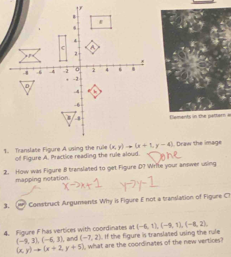 Elements in the pattern a
. Draw the image
of Figure A. Practice reading the rule aloud.
2. How was Figure B translated to get Figure D? Write your answer using
mapping notation.
3. MP Construct Arguments Why is Figure E not a translation of Figure C?
4. Figure F has vertices with coordinates at (-6,1),(-9,1),(-8,2),
(-9,3),(-6,3) , and (-7,2). If the figure is translated using the rule
(x,y)to (x+2,y+5) , what are the coordinates of the new vertices?