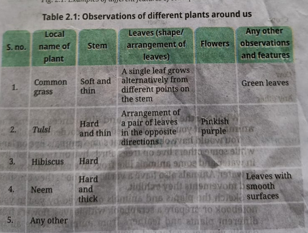 Solved: Table 2.1: Observations of different plants around us S 2 3 4 5 ...