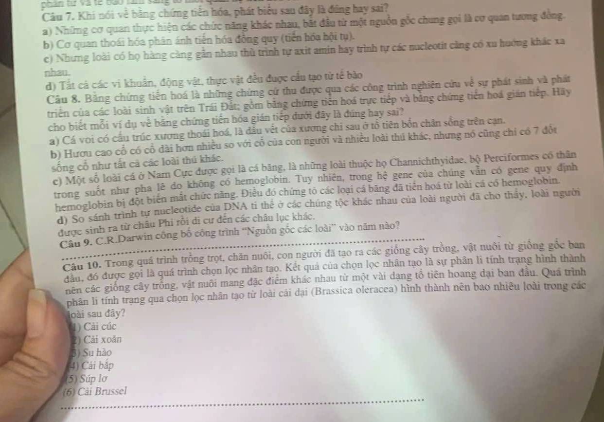 Khi nói về bằng chứng tiến hóa, phát biểu sau đây là đứng hay sai?
a) Những cơ quan thực hiện các chức năng khác nhau, bắt đầu từ một nguồn gốc chung gọi là cơ quan tương đồng.
b) Cơ quan thoái hóa phân ánh tiến hóa đồng quy (tiến hóa hội tụ).
c) Nhưng loài có họ hàng càng gẫn nhau thù trình tự axit amin hay trình tự các nucleotit càng có xu huớng khác xa
nhau.
d) Tất cả các vi khuẩn, động vật, thực vật đều được cầu tạo từ tế bào
Câu 8. Băng chứng tiến hoá là những chứng cứ thu được qua các công trình nghiên cứu về sự phát sinh và phát
triển của các loài sinh vật trên Trái Đất; gồm bằng chứng tiền hoá trực tiếp và bằng chứng tiến hoá gián tiếp. Hãy
cho biết mỗi ví dụ về bằng chứng tiến hóa gián tiếp dưới đây là đúng hay sai?
a) Cá voi có cấu trúc xương thoái hoá, là đầu vết của xương chi sau ở tổ tiên bốn chăn sống trên cạn.
b) Hươu cao cổ có cổ dài hơn nhiều so với cổ của con người và nhiều loài thú khác, nhưng nó cũng chỉ có 7 đột
sống cổ như tất cà các loài thú khác.
c) Một số loài cá ở Narn Cực được gọi là cá băng, là những loài thuộc họ Channichthyidae, bộ Perciformes cổ thân
trong suốt như pha lê do không có hemoglobin. Tuy nhiên, trong hệ gene của chúng vẫn có gene quy định
hemoglobin bị đột biến mắt chức năng. Điều đó chứng tỏ các loại cá băng đã tiền hoá từ loài cá có hemoglobin.
d) So sánh trình tự nucleotide của DNA ti thể ở các chúng tộc khác nhau của loài người đã cho thầy, loài người
được sinh ra từ châu Phi rồi di cư đến các châu lục khác.
Câu 9. C.R.Darwin công bố công trình “Nguồn gốc các loài”' vào năm nào?
Cầu 10. Trong quá trình trồng trọt, chăn nuôi, con người đã tạo ra các giống cây trồng, vật nuôi từ giống gốc ban
đầu, đó được gọi là quá trình chọn lọc nhân tạo. Kết quả của chọn lọc nhân tạo là sự phân lì tính trạng hình thành
nên các giống cây trồng, vật nuôi mang đặc điểm khác nhau từ một vài dạng tổ tiên hoang dại ban đầu. Quá trình
phân lí tính trạng qua chọn lọc nhân tạo từ loài cái dại (Brassica oleracea) hình thành nên bao nhiều loài trong các
loài sau đây?
1) Cải cúc
2) Cải xoăn
3) Su hào
4) Cải bắp
(5) Súp lơ
(6) Cải Brussel