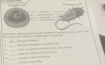 ED KEADTNG 
Eukaryouc Cell Cell 
Read each statement and decide whether it applies to prokaryotic cells 
(P), eukaryotic cells (E), or both types of cells (B). 
2. _always unicellular 
3. _may be unicellular or multicellular 
_ 
4. make up plants, animals, fungi, and protists 
5. _make up bacteria and archaea 
6. _contain a cell membrane 
7. _contain organelles