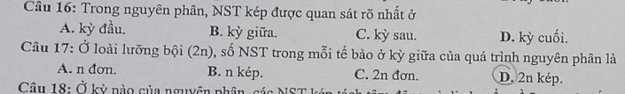 Trong nguyên phân, NST kép được quan sát rõ nhất ở
A. kỳ đầu, B. kỳ giữa. C. kỳ sau. D. kỳ cuối.
Câu 17: Ở loài lưỡng bội (2n), số NST trong mỗi tế bào ở kỳ giữa của quá trình nguyên phân là
A. n đơn. B. n kép. C. 2n đơn. D. 2n kép.
Câu 18: Ở kỳ nào của nguyên phân, các NST