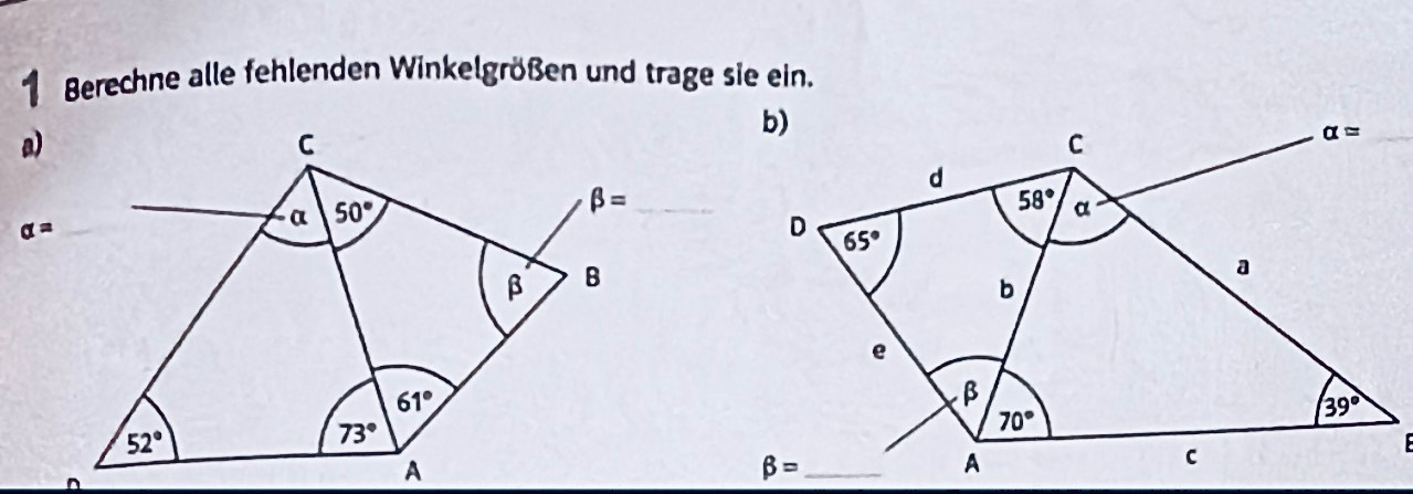 Berechne alle fehlenden Winkelgrößen und trage sie ein.