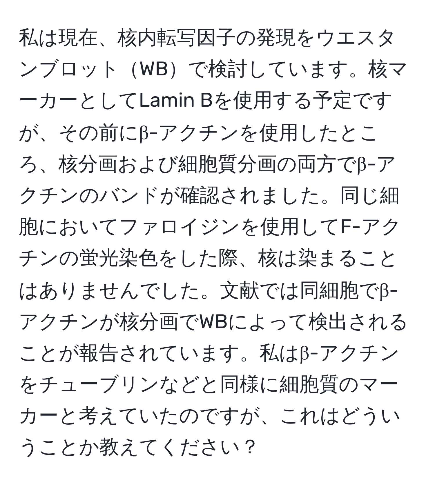 私は現在、核内転写因子の発現をウエスタンブロットWBで検討しています。核マーカーとしてLamin Bを使用する予定ですが、その前にβ-アクチンを使用したところ、核分画および細胞質分画の両方でβ-アクチンのバンドが確認されました。同じ細胞においてファロイジンを使用してF-アクチンの蛍光染色をした際、核は染まることはありませんでした。文献では同細胞でβ-アクチンが核分画でWBによって検出されることが報告されています。私はβ-アクチンをチューブリンなどと同様に細胞質のマーカーと考えていたのですが、これはどういうことか教えてください？