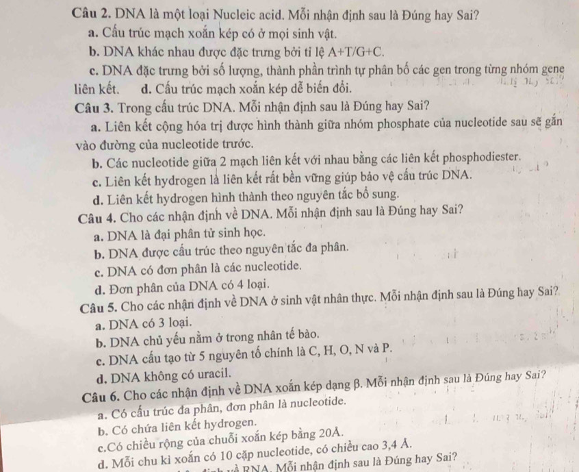 DNA là một loại Nucleic acid. Mỗi nhận định sau là Đúng hay Sai?
a. Cấu trúc mạch xoắn kép có ở mọi sinh vật.
b. DNA khác nhau được đặc trưng bởi tỉ lệ A+T/G+C.
c. DNA đặc trưng bởi số lượng, thành phần trình tự phân bố các gen trong từng nhóm gene
liên kết. d. Cấu trúc mạch xoắn kép dễ biến đổi.
Câu 3. Trong cấu trúc DNA. Mỗi nhận định sau là Đúng hay Sai?
a. Liên kết cộng hóa trị được hình thành giữa nhóm phosphate của nucleotide sau sẽ gắn
vào đường của nucleotide trước.
b. Các nucleotide giữa 2 mạch liên kết với nhau bằng các liên kết phosphodiester.
c. Liên kết hydrogen là liên kết rất bền vững giúp bảo vệ cấu trúc DNA.
d. Liên kết hydrogen hình thành theo nguyên tắc bổ sung.
Câu 4. Cho các nhận định về DNA. Mỗi nhận định sau là Đúng hay Sai?
a. DNA là đại phân tử sinh học.
b. DNA được cầu trúc theo nguyên tắc đa phân.
c. DNA có đơn phân là các nucleotide.
d. Đơn phân của DNA có 4 loại.
Câu 5. Cho các nhận định về DNA ở sinh vật nhân thực. Mỗi nhận định sau là Đúng hay Sai?
a. DNA có 3 loại.
b. DNA chủ yếu nằm ở trong nhân tế bào.
c. DNA cấu tạo từ 5 nguyên tố chính là C, H, O, N và P.
d. DNA không có uracil.
Câu 6. Cho các nhận định về DNA xoắn kép dạng β. Mỗi nhận định sau là Đúng hay Sai?
a. Có cấu trúc đa phân, đơn phân là nucleotide.
b. Có chứa liên kết hydrogen.
c.Có chiều rộng của chuỗi xoắn kép bằng 20A.
d. Mỗi chu kì xoắn có 10 cặp nucleotide, có chiều cao 3,4 A.
À  RNA, Mỗi nhận định sau là Đúng hay Sai?