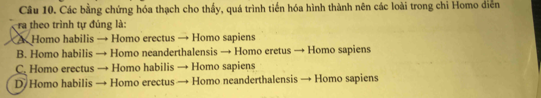 Các bằng chứng hóa thạch cho thấy, quá trình tiến hóa hình thành nên các loài trong chi Homo diễn
ra theo trình tự đúng là:
A Homo habilis → Homo erectus → Homo sapiens
B. Homo habilis · Homo neanderthalensis → Homo eretus → Homo sapiens
C. Homo erectus Homo habilis → Homo sapiens
D Homo habilis - + Homo erectus → Homo neanderthalensis → Homo sapiens