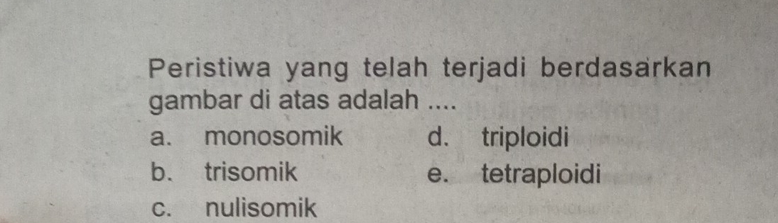 Peristiwa yang telah terjadi berdasarkan
gambar di atas adalah ....
a. monosomik d. triploidi
b. trisomik e. tetraploidi
c. nulisomik