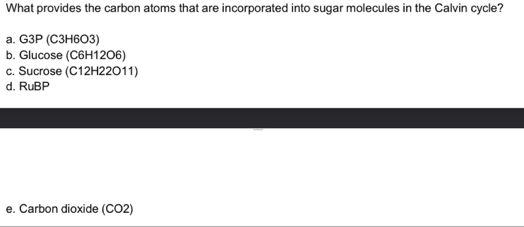 What provides the carbon atoms that are incorporated into sugar molecules in the Calvin cycle?
a. G3P (C3H6O3)
b. Glucose (C6H12O6)
c. Sucrose (C12H22O11)
d. RuBP
e. Carbon dioxide (CO2)