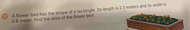 ③7 A flower bed has the shape of a rectangle. Its length is 2.5 meters and its width is
0.8 meter. Find the area of the flower bed.