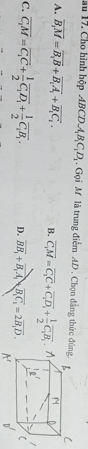 au 17. Cho hình hộp AB ABCD.A_1B_1C_1D_1. Gọi M là trung điểm AD. Chọn đẳng thức đú
A. vector B_1M=vector B_1B+vector B_1A_1+vector B_1C_1.
B. overline C_1M=overline C_1C+overline C_1D_1+ 1/2 overline C_1B_1.
C. overline C_1M=overline C_1C+ 1/2 overline C_1D_1+ 1/2 overline C_1B_1.
D. vector BB_1+vector B_1A_1+vector B_1C_1=2vector B_1D.