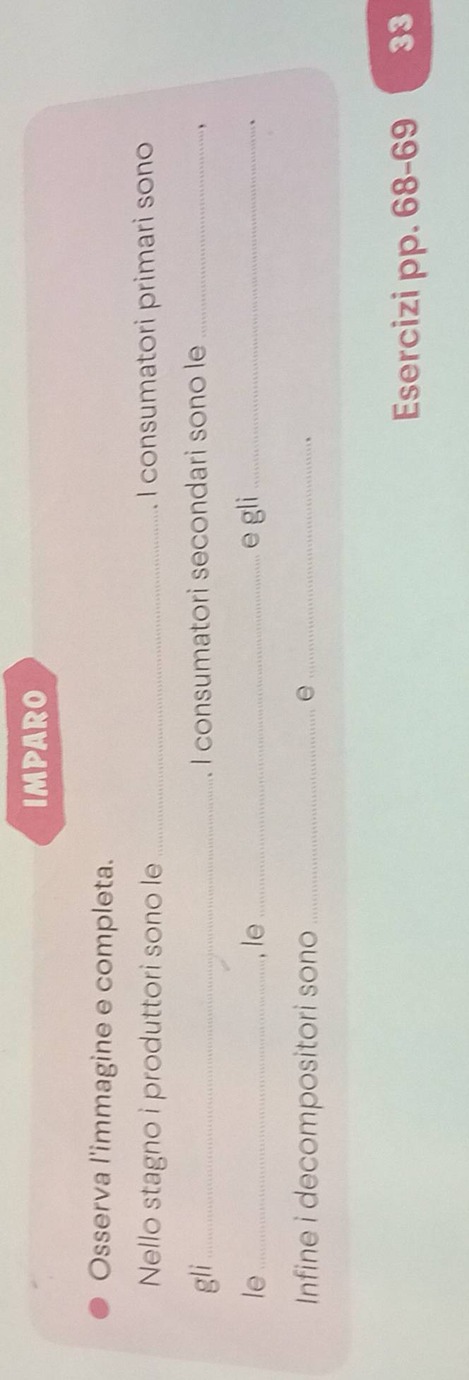 IMPARO 
Osserva l'immagine e completa. 
Nello stagno i produttori sono le _I consumatori primari sono 
gli_ I consumatori secondari sono le_ 
、 
le_ ,le _e gli_ 
Infine i decompositori sono_ 
_e 
Esercizi pp. 68 - 69 33