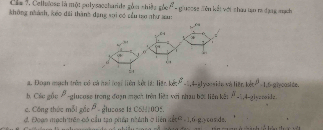 Cellulose là một polysaccharide gồm nhiều gốc β - glucose liên kết với nhau tạo ra đạng mạch
không nhánh, kéo dài thành dạng sợi có cấu tạo như sau:
a. Đoạn mạch trên có cả hai loại liên kết là: liên kếtβ -1, 4-glycoside và liên kếtβ -1, 6-glycoside.
b. Các gốc β -glucose trong đoạn mạch trên liên với nhau bởi liên kết β -1, 4-glycoside.
c. Công thức mỗi gốc β - glucose là C6H10O5.
d. Đoạn mạch trên có cấu tạo phân nhánh ở liên kếtα -1, 6-glycoside.
b ông đay gai .... tâp trung ở thành tế bào thực vật