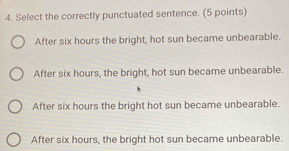 Select the correctly punctuated sentence. (5 points)
After six hours the bright, hot sun became unbearable.
After six hours, the bright, hot sun became unbearable.
After six hours the bright hot sun became unbearable.
After six hours, the bright hot sun became unbearable.