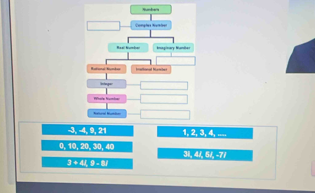 -3, 1, 2, 3, 4, ....
0, 10, 20, 30, 40
3i, 4i, 5i, -7i
3+4i, 9-8i