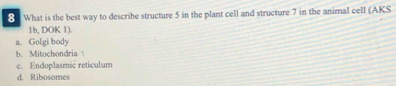 What is the best way to describe structure 5 in the plant cell and structure 7 in the animal cell (AKS
1b, DOK 1).
a. Golgi body
b. Mitochondria
c. Endoplasmic reticulum
d. Ribosomes