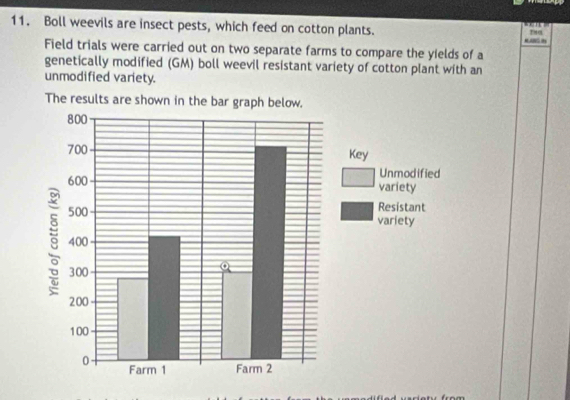 Boll weevils are insect pests, which feed on cotton plants. Thex 


Field trials were carried out on two separate farms to compare the yields of a 
genetically modified (GM) boll weevil resistant variety of cotton plant with an 
unmodified variety.