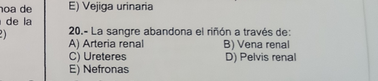 noa de E) Vejiga urinaria
de la
a 
20.- La sangre abandona el riñón a través de:
A) Arteria renal B) Vena renal
C) Ureteres D) Pelvis renal
E) Nefronas