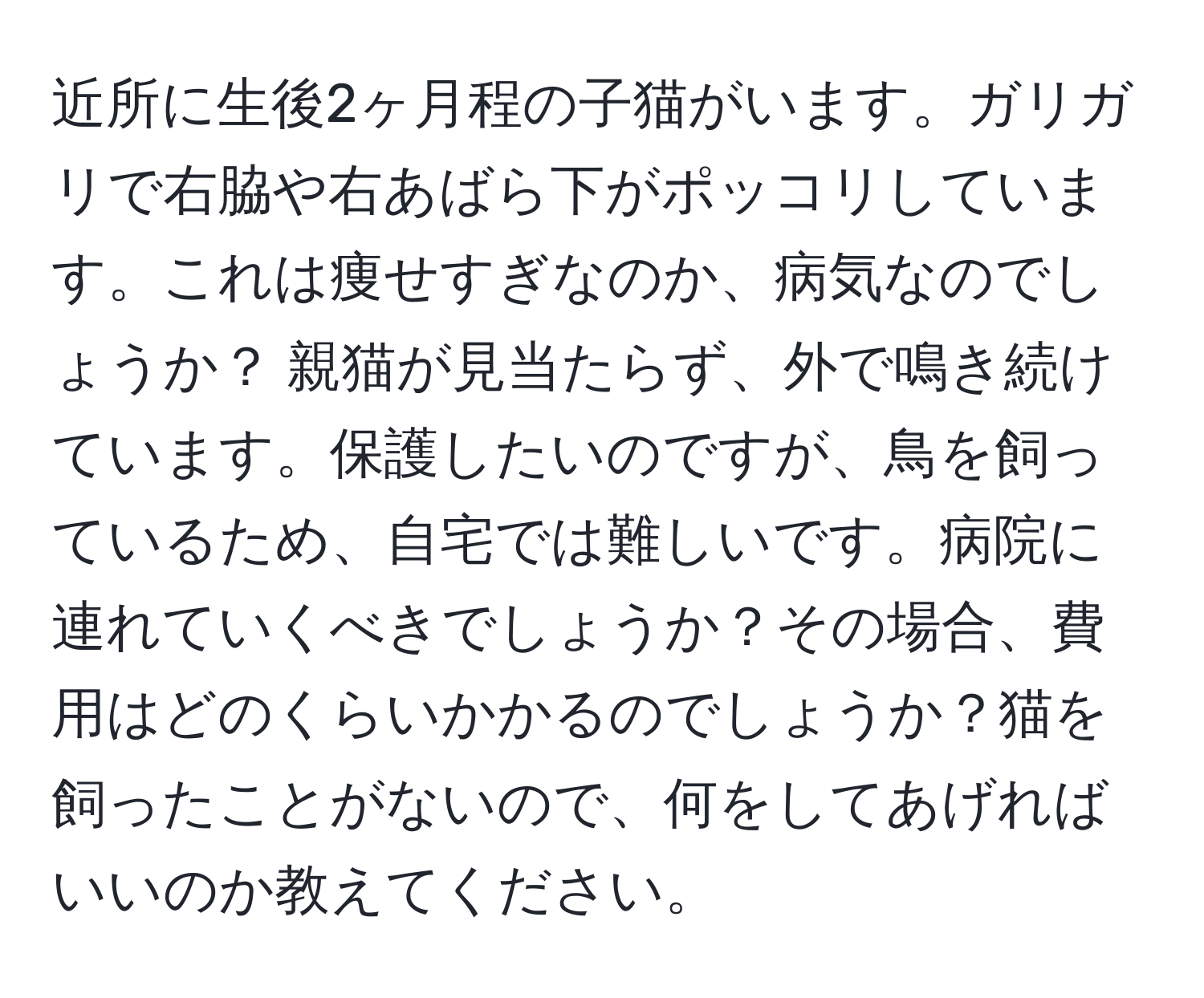近所に生後2ヶ月程の子猫がいます。ガリガリで右脇や右あばら下がポッコリしています。これは痩せすぎなのか、病気なのでしょうか？ 親猫が見当たらず、外で鳴き続けています。保護したいのですが、鳥を飼っているため、自宅では難しいです。病院に連れていくべきでしょうか？その場合、費用はどのくらいかかるのでしょうか？猫を飼ったことがないので、何をしてあげればいいのか教えてください。