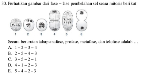 Perhatikan gambar dari fase - fase pembelahan sel seara mitosis berikut!
Secara berurutan tahap anafase, profase, metafase, dan telofase adalah ….
A. 1 - 2 - 3 - 4
B. 2 - 5 - 4 - 3
C. 3 -5 - 2 - 1
D. 4 -1 -2 -3
E. 5 - 4 - 2 - 3