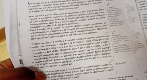 Cali itinerari che glá uccellá sequono migrando, Vei
jeonana . - Venga a
o a primavera, traversano di rado la cittá. Gli stormá taquiano il cielo alri sgl
striate groppe' dei campi e lungo il margine dei boschi. Ma girano al largo, appe
Masconal
ma le catene di tetti d'una città gli si parano davanti. 2°
* Pure, una volta, un volo di beccacce' autunnali apparve nella fetta di cielo d'una V contrala te % lharts a beliars do Murcs =  a d t      
via. E se ne accorse solo Marcovaldo, che camuminava sempre a naso in aria. Era so natuma e Thmilulatiáma  =aééo Entadioo K== Toè rem Hor
un triciclo a furgoncino", e vedendo gli uccelli pedaló pió forte, come andasse al
loro inseguimento, preso da una fantasticheria di cacciatore, sebbene non avesse dell separitione □ alto-bess = − Signe
mai imbsacciato altro fucile che queilo del soldato.
1 E cost andando, con gli uccelli che volavano, sí trovó in mezto a un crocevia, col □ danton fust dzve rispettivaments z coñerane q0 scoe e  )      _ Cve Eatró ban
= Ma
semaforo rosso, tra le marchine, e fu a un pelo dall'essere invertito. Mentre un vi peroles cocevía ta2
9
gile con la faccia paonazza glá prendeva nome e indirizzo sul taccuino, Marcovaldo
cercó ancora con lo sguardo quelle ali nel cielo, ma erano scomparse.
   
Per tutto quel géorno il cervello di Marcovaldo macinó, macinó come un mulino. «Se 3^0
1s sabato, com'è probabile, ci sarà pieno di cacciatori in collina, chissà quante bec- Le ardvità della coi 50m0 0e a co = e a c
cacce caleranno in cittá; e se lo ci so fare, domenica mangeró beccaccia arrosto.» chē anens (dove?). xí ngl
Il casamento dove abitava Marcovaldo aveva il tetto fatto a terrazão, coi fili dá Marcoveldio e 1. fg6  rineng
ferro per stendere la roba ad asciugare. Marcovaldo ci sali con tre dei suoi figli, eltogitano un fisttma   
con un bidone di vischio', un pennello e un sacco di granone'. Mentre i bambini ciplicamenta campegnai= el cattura dele beccacra Iipignala
spargevano chácchi di granone dappertutto, lui spennellava di vischio i parapetti,
1
i Mi di ferro, le cornici del comignoli. Ce ne mise tanto che per poco Filippetto,
giocando, non ci restó lui appiccicato.
a notte Marcovaldo sogmó il tetto cosparso di beccacce invischiate sussultan 5°
Doglie Domitilla, piú vosace e pigra, sognó anatre giá arrosto posate suá
uli, La figlia Isolina, zomantica, sognava colibri da adornarsene il cappel-
masta per catturare gli occellä.
d   sognd di trovarei una cicogna.