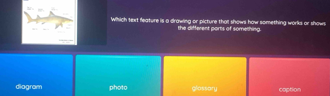 Which text feature is a drawing or picture that shows how something works or shows
the different parts of something.
diagram photo glossary caption