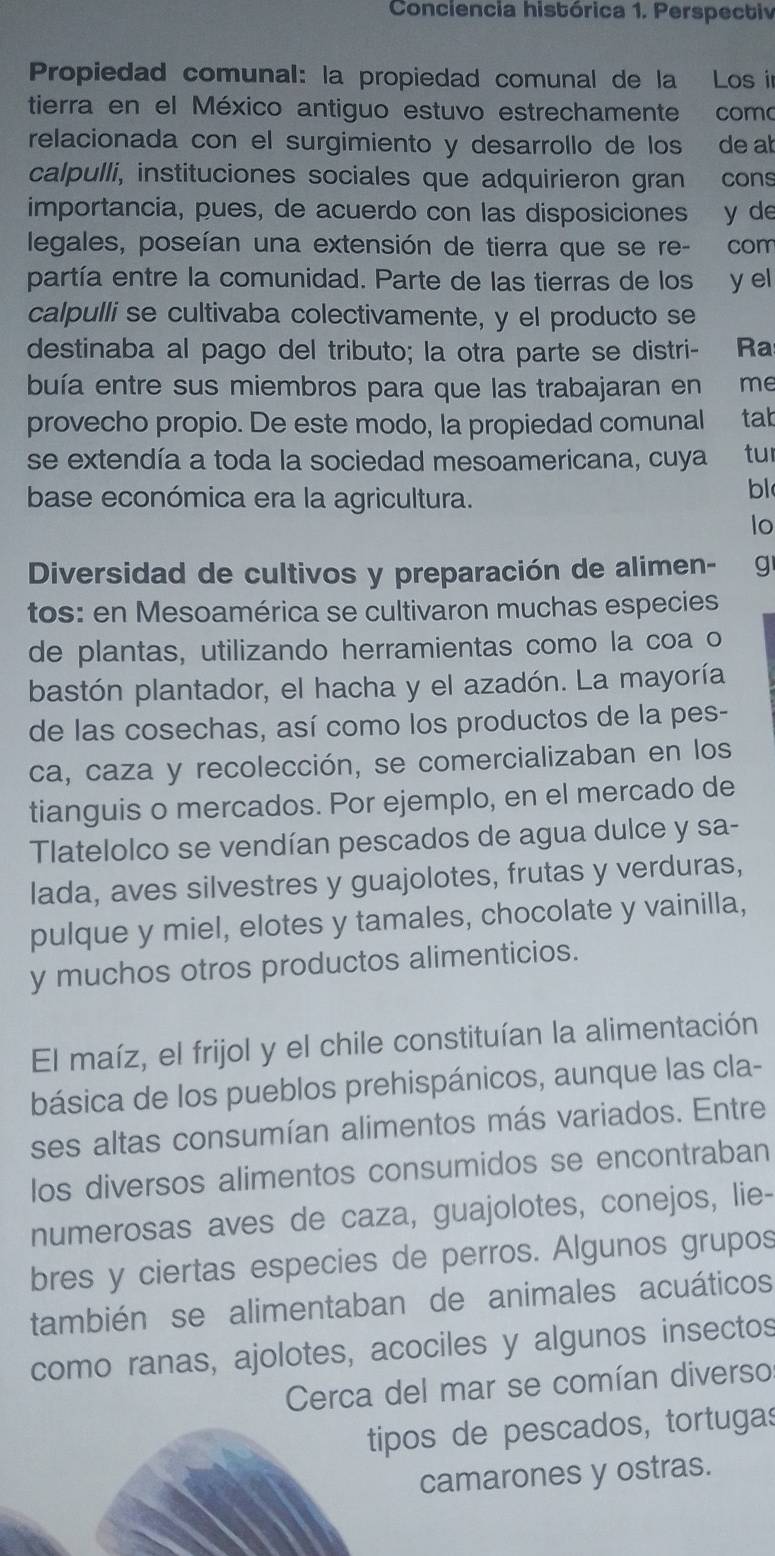 Conciencia histórica 1. Perspectiv
Propiedad comunal: la propiedad comunal de la Los in
tierra en el México antiguo estuvo estrechamente como
relacionada con el surgimiento y desarrollo de los de ab
calpulli, instituciones sociales que adquirieron gran cons
importancia, pues, de acuerdo con las disposiciones y de
legales, poseían una extensión de tierra que se re- com
partía entre la comunidad. Parte de las tierras de los y el
calpulli se cultivaba colectivamente, y el producto se
destinaba al pago del tributo; la otra parte se distri- Ra
buía entre sus miembros para que las trabajaran en me
provecho propio. De este modo, la propiedad comunal tab
se extendía a toda la sociedad mesoamericana, cuya tu
base económica era la agricultura.
bl
lo
Diversidad de cultivos y preparación de alimen- g
tos: en Mesoamérica se cultivaron muchas especies
de plantas, utilizando herramientas como la coa o
bastón plantador, el hacha y el azadón. La mayoría
de las cosechas, así como los productos de la pes-
ca, caza y recolección, se comercializaban en los
tianguis o mercados. Por ejemplo, en el mercado de
Tlatelolco se vendían pescados de agua dulce y sa-
lada, aves silvestres y guajolotes, frutas y verduras,
pulque y miel, elotes y tamales, chocolate y vainilla,
y muchos otros productos alimenticios.
El maíz, el frijol y el chile constituían la alimentación
básica de los pueblos prehispánicos, aunque las cla-
ses altas consumían alimentos más variados. Entre
los diversos alimentos consumidos se encontraban
numerosas aves de caza, guajolotes, conejos, lie-
bres y ciertas especies de perros. Algunos grupos
también se alimentaban de animales acuáticos
como ranas, ajolotes, acociles y algunos insectos
Cerca del mar se comían diverso
tipos de pescados, tortugas
camarones y ostras.