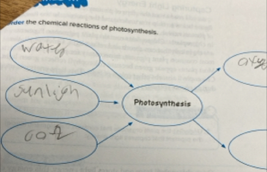 rder the chemical reactions of photosy