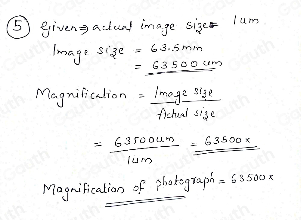 Solved: A labeled scale bar is shown on the image. Calculate the ...