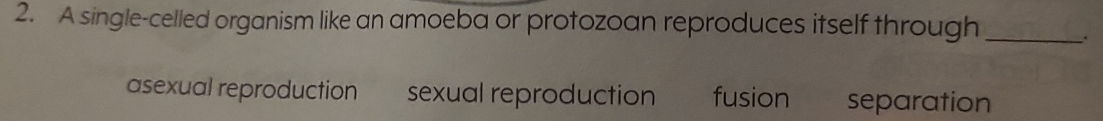 A single-celled organism like an amoeba or protozoan reproduces itself through_
.
asexual reproduction sexual reproduction fusion separation