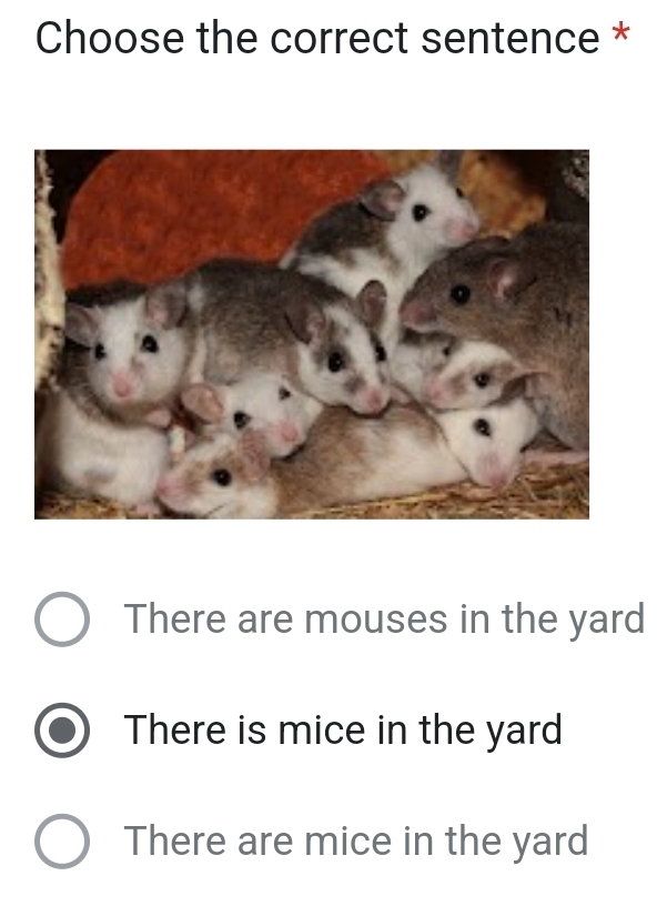 Choose the correct sentence *
There are mouses in the yard
There is mice in the yard
There are mice in the yard