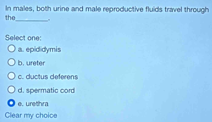 In males, both urine and male reproductive fluids travel through
the_
Select one:
a. epididymis
b. ureter
c. ductus deferens
d. spermatic cord
e. urethra
Clear my choice