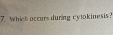 Which occurs during cytokinesis?