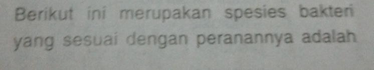 Berikut ini merupakan spesies bakteri 
yang sesuai dengan peranannya adalah