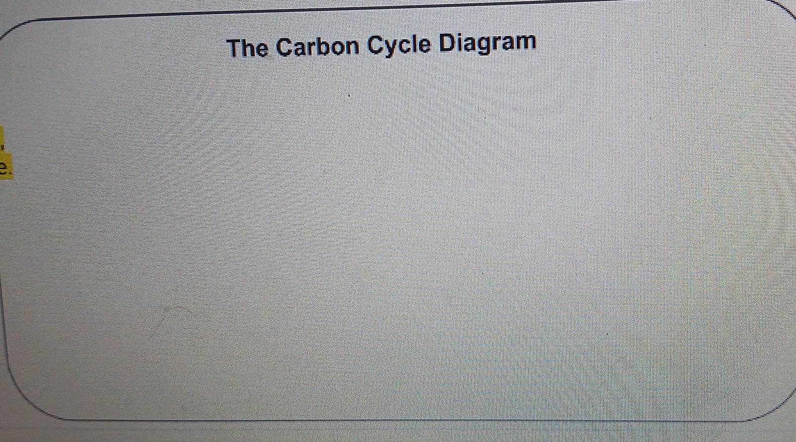 The Carbon Cycle Diagram