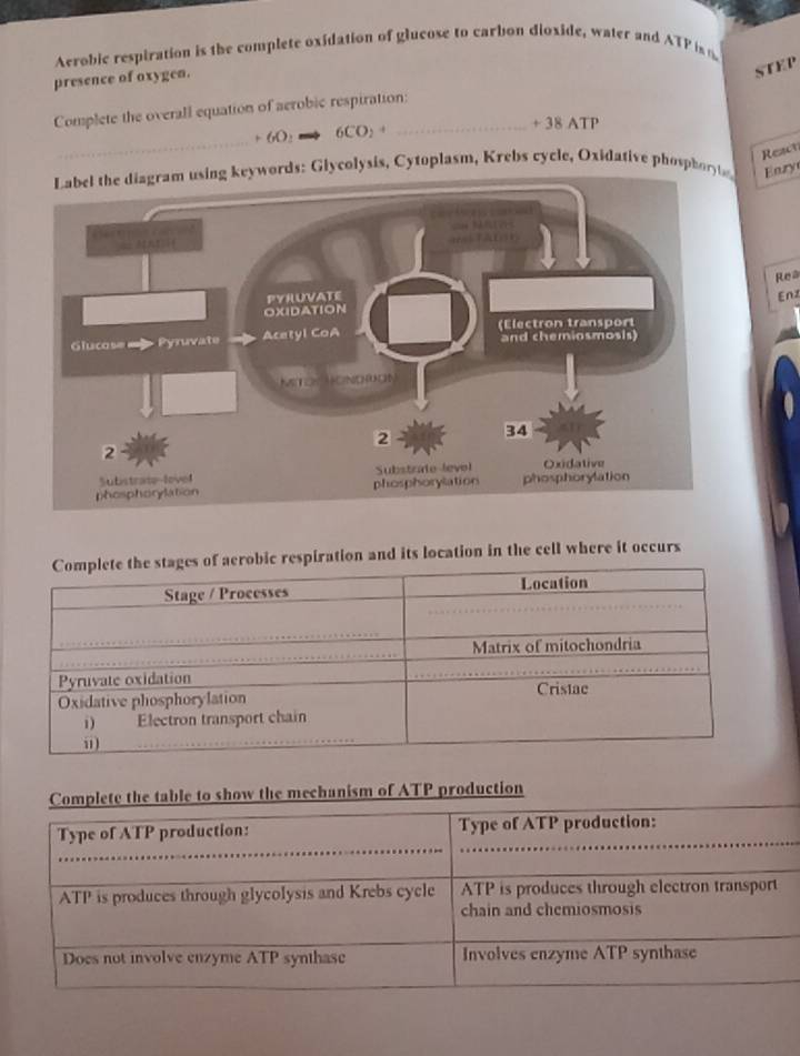 Aerobic respiration is the complete oxidation of glucose to carbon dioxide, water and ATP is n 
presence of oxygen. 
STEP 
Complete the overall equation of aerobic respiration:
+ 38 ATP 
_
+ 6O : 6C ), + 
React 
keywords: Glycolysis, Cytoplasm, Krebs cycle, Oxidative phospho 
Enry 
Enz 
Rea 
espiration and its location in the cell where it occurs 
e table to show the mechanism of ATP production