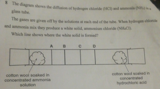 Solved: The diagram shows the diffusion of hydrogen chloride (HCl) and ...