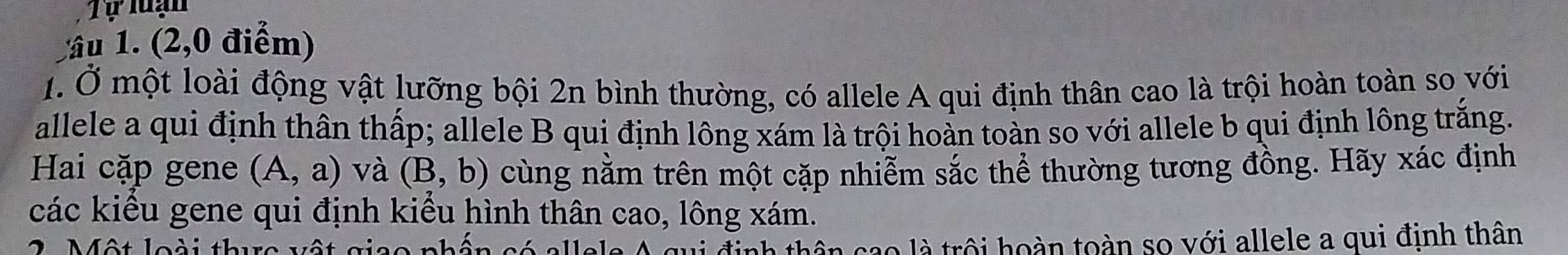 Tự luạn 
ầu 1. (2,0 điểm) 
1. Ở một loài động vật lưỡng bội 2n bình thường, có allele A qui định thân cao là trội hoàn toàn so với 
allele a qui định thân thấp; allele B qui định lông xám là trội hoàn toàn so với allele b qui định lông trắng. 
Hai cặp gene (A,a) và (B,b) cùng nằm trên một cặp nhiễm sắc thể thường tương đồng. Hãy xác định 
các kiểu gene qui định kiểu hình thân cao, lông xám. 
2. Một loài thực vật giao phần có allels A qui định thân cao là trội hoàn toàn sọ với allele a qui định thân