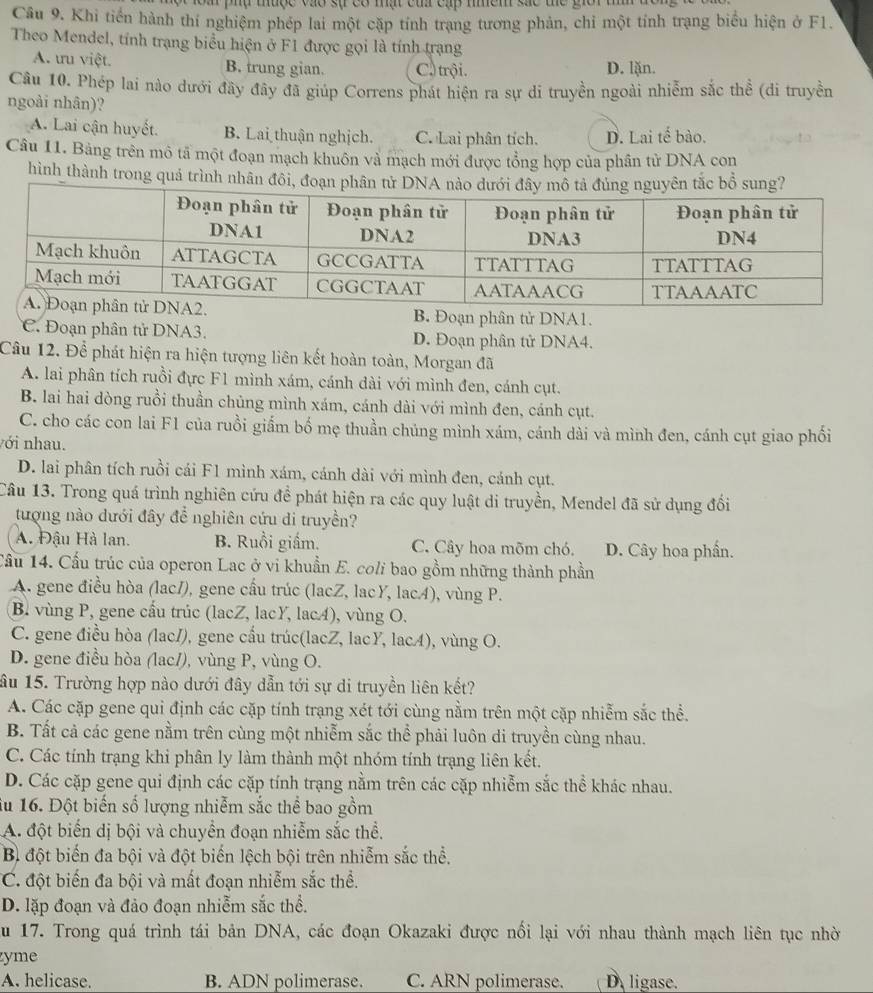 lom phụ thuộc vào sự có mạt củ cạp nem sác tc giới t
Câu 9. Khi tiến hành thí nghiệm phép lai một cặp tính trạng tương phản, chỉ một tỉnh trạng biểu hiện ở F1.
Theo Mendel, tính trạng biểu hiện ở F1 được gọi là tính trạng
A. ưu việt. B. trung gian. Ca trội. D. lặn.
Câu 10. Phép lai nào dưới đây đây đã giúp Correns phát hiện ra sự di truyền ngoài nhiễm sắc thể (di truyền
ngoài nhân)?
A. Lai cận huyết. B. Lai thuận nghịch. C. Lai phân tích. D. Lai tế bào.
Câu 11. Bằng trên mô tã một đoạn mạch khuôn và mạch mới được tổng hợp của phân tử DNA con
hình thành trong quả trình nhân đôi, đoạn
B. Đoạn phân tử DNA1.
C. Đoạn phân tử DNA3. D. Đoạn phân tử DNA4.
Câu 12. Để phát hiện ra hiện tượng liên kết hoàn toàn, Morgan đã
A. lai phân tích ruồi đực F1 mình xám, cánh dài với mình đen, cánh cụt.
B. lai hai dòng ruồi thuần chủng mình xám, cánh dài với mình đen, cánh cụt.
C. cho các con lai F1 của ruồi giắm bố mẹ thuần chúng mình xám, cánh dài và mình đen, cánh cụt giao phối
với nhau.
D. lai phân tích ruồi cái F1 mình xám, cánh dài với mình đen, cánh cụt.
Câu 13. Trong quá trình nghiên cứu để phát hiện ra các quy luật di truyền, Mendel đã sử dụng đổi
tượng nào dưới đây để nghiên cứu di truyền?
A. Đậu Hà lan. B. Ruồi giấm. C. Cây hoa mõm chó. D. Cây hoa phần.
Cầu 14. Cấu trúc của operon Lac ở vi khuẩn E. coli bao gồm những thành phần
A. gene điều hòa (lac/), gene cầu trúc (lacZ, lacY, lac4), vùng P.
B. vùng P, gene cấu trúc (lacZ, lacY, lac4), vùng O.
C. gene điều hòa (lac/), gene cầu trúc(lacZ, lacY, lacÆ), vùng O.
D. gene điều hòa (lac/), vùng P, vùng O.
âu 15. Trường hợp nào dưới đây dẫn tới sự di truyền liên kết?
A. Các cặp gene qui định các cặp tính trạng xét tới cùng nằm trên một cặp nhiễm sắc thể.
B. Tất cả các gene nằm trên cùng một nhiễm sắc thể phải luôn di truyền cùng nhau.
C. Các tính trạng khi phân ly làm thành một nhóm tính trạng liên kết.
D. Các cặp gene qui định các cặp tính trạng nằm trên các cặp nhiễm sắc thể khác nhau.
âu 16. Đột biến số lượng nhiễm sắc thể bao gồm
A. đột biến dị bội và chuyển đoạn nhiễm sắc thể.
Bì đột biến đa bội và đột biến lệch bội trên nhiễm sắc thể.
C. đột biến đa bội và mất đoạn nhiễm sắc thể.
D. lặp đoạn và đảo đoạn nhiễm sắc thể.
u 17. Trong quá trình tái bản DNA, các đoạn Okazaki được nổi lại với nhau thành mạch liên tục nhờ
zyme
A. helicase. B. ADN polimerase. C. ARN polimerase. D. ligase.