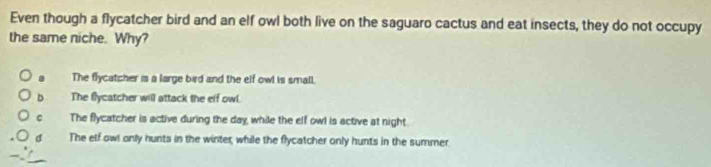 Even though a flycatcher bird and an elf owl both live on the saguaro cactus and eat insects, they do not occupy
the same niche. Why?. The flycatcher is a large bird and the elf owl is small.
b The flycatcher will attack the elf owl.
c The flycatcher is active during the day, while the elf owl is active at night.
d The elf owl only hunts in the winter, while the flycatcher only hunts in the summer