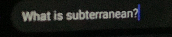 What is subterranean?