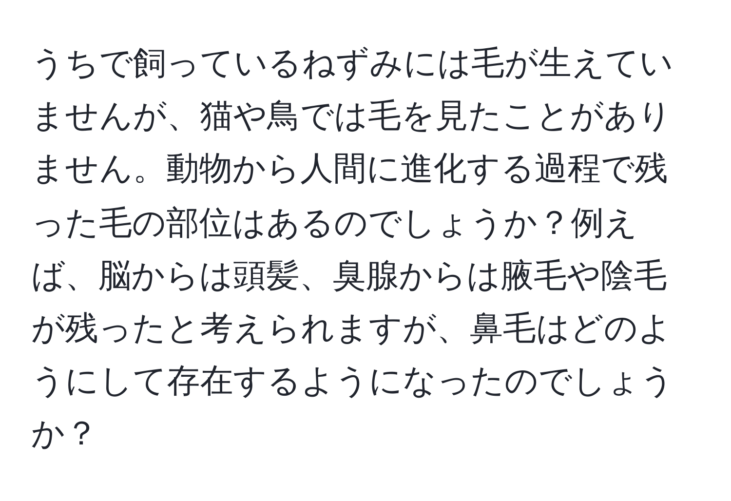 うちで飼っているねずみには毛が生えていませんが、猫や鳥では毛を見たことがありません。動物から人間に進化する過程で残った毛の部位はあるのでしょうか？例えば、脳からは頭髪、臭腺からは腋毛や陰毛が残ったと考えられますが、鼻毛はどのようにして存在するようになったのでしょうか？