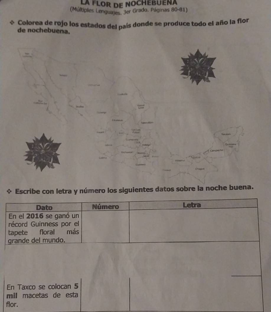 LA FLOR DE NOCHEBUENA 
(Múltiples Lenguajes. 3er Grado. Páginas 80-81) 
Colorea de rojo los estados del país donde se produce todo el año la flor 
de nochebuena. 
Escribe con letra y número los siguientes datos sobre la noche buena. 
Dato Número Letra 
En el 2016 se ganó un 
récord Guinness por el 
tapete floral más 
grande del mundo. 
En Taxco se colocan 5
mill macetas de esta 
flor.