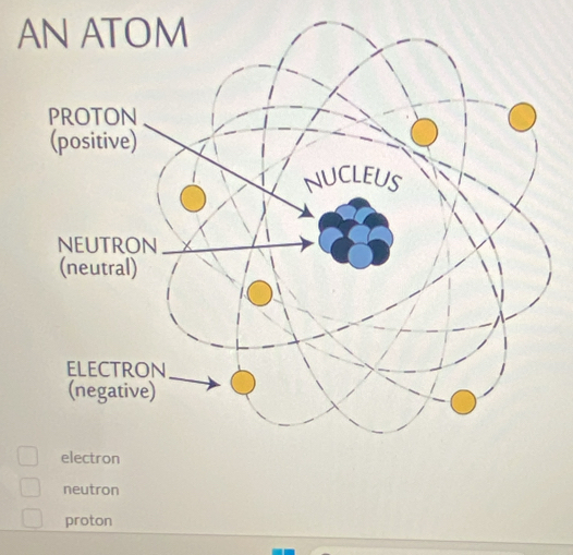 neutron
proton