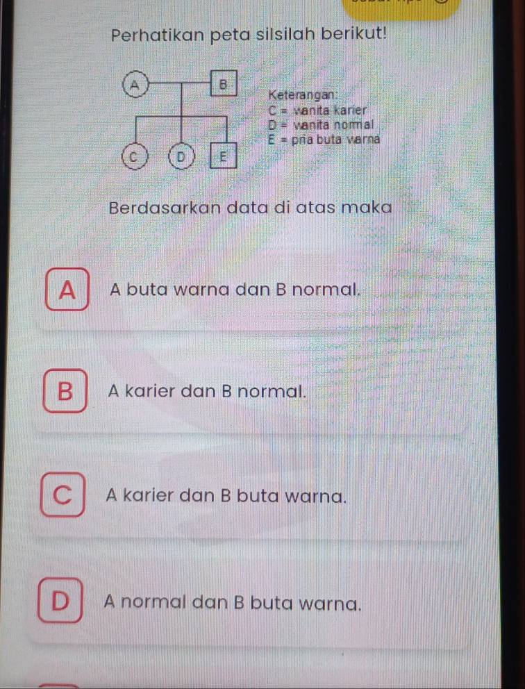 Perhatikan peta silsilah berikut!
Keterangan:
C= vanita karier
D= vanita normal
E= pria buta varna
Berdasarkan data di atas maka
A A buta warna dan B normal.
B A karier dan B normal.
C A karier dan B buta warna.
D A normal dan B buta warna.