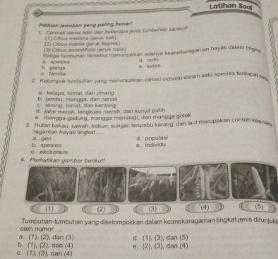 Latihan Soal
Pilihlah jawaban yang paling benar!
1. Cermati nama lstin dari beberapa jenis tumbuhan barikut!
(1) Cârus maxa (jeruk bali)
(2) CWus nobils (jeruk keprok)
3) Citrus aurantifolia (jeruk nipis)
Ketiga tumbutan tersebut menunjukkan adanya keanekaragaman hayati dafam tingu.
a. spesims
d. ordo
c fami b ganus e kelas
2. Kelompok tumbuhan yang menunjukkan variasi individu dalam satu spesies terdapat p
a. kelapa, tomat, dan pinang
c. ferung, tomat, dan kentang
d. Jahe merah, lengkuas merah, dan kunyit puth
e. mangga çadurg, margga manalagi, dan mangga golek
3. Hutan bakau, sawah, kebun, sungai, terumbu karang, dan laut merupakan contoh kearek
a gen ragaman hayati tingkat ....
e.individu d. populasi
c. ekosistem b. spesies
4. Perhatikan gambar berikut!
(1) (2) (3) (4) (5)
oleh nomor .... Tumbuhan-tumbuhan yang dikelompokkan dalam keanekaragaman tingkat jenis ditunjukk
a. (1), (2), dan (3)
b. (1), (2), dan (4) d. (1), (3), dan (5)
c. (1), (3), dan (4) e. (2), (3), dan (4)