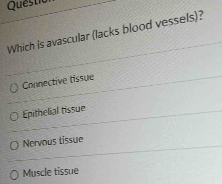 Questio
Which is avascular (lacks blood vessels)?
Connective tissue
Epithelial tissue
Nervous tissue
Muscle tissue