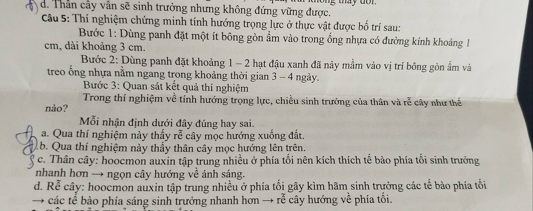 d. Thần cây vẫn sẽ sinh trưởng nhưng không đứng vững được.
Câu 5: Thí nghiệm chứng minh tính hướng trọng lực ở thực vật được bố trí sau:
Bước 1: Dùng panh đặt một ít bông gòn ẩm vào trong ống nhựa có đường kính khoảng 1
cm, dài khoảng 3 cm.
Bước 2: Dùng panh đặt khoảng 1 - 2 hạt đậu xanh đã nảy mầm vào vị trí bông gòn ẩm và
treo ống nhựa nằm ngang trong khoảng thời gian 3 - 4 ngày.
Bước 3: Quan sát kết quả thí nghiệm
Trong thí nghiệm về tính hướng trọng lực, chiều sinh trưởng của thân và rễ cây như thế
nào?
Mỗi nhận định dưới đây đúng hay sai.
a. Qua thí nghiệm này thấy rễ cây mọc hướng xuống đất.
b. Qua thí nghiệm này thấy thân cây mọc hướng lên trên.
c. Thân cây: hoocmon auxin tập trung nhiều ở phía tối nên kích thích tế bào phía tối sinh trưởng
nhanh hơn → ngọn cây hướng về ánh sáng.
d. Rể cây: hoocmon auxin tập trung nhiều ở phía tối gây kìm hãm sinh trưởng các tế bào phía tối
→ các tế bào phía sáng sinh trưởng nhanh hơn → rễ cây hướng về phía tối.